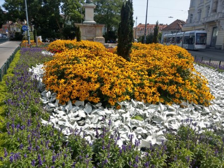 Blumenbeet am Eisernen Tor im Sommer 2023