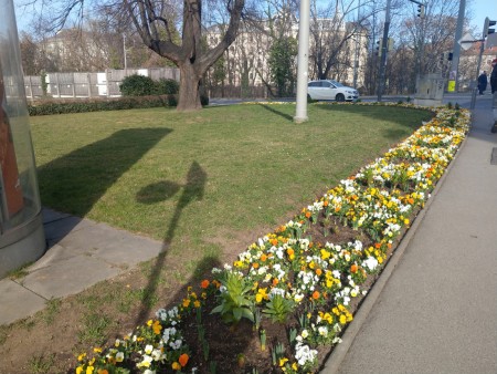 Frühlingsflor Schmuckbeet am Grieskai Ecke Brückenkopfgasse in Graz