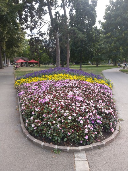 Sommerflor Schmuckbeet im Grazer Volksgarten