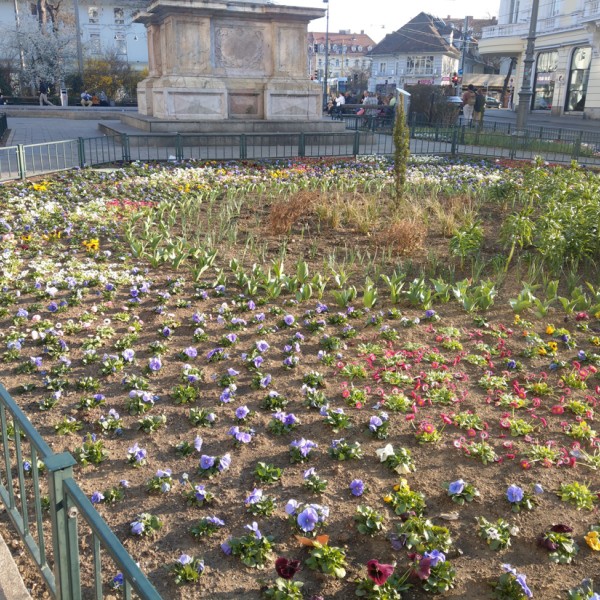 Blumenbeet am Eisernen Tor im Frühjahr